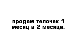 продам телочек 1 месяц и 2 месяца.